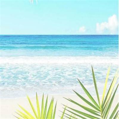 这些石油基金集体公告!今日停牌一小时